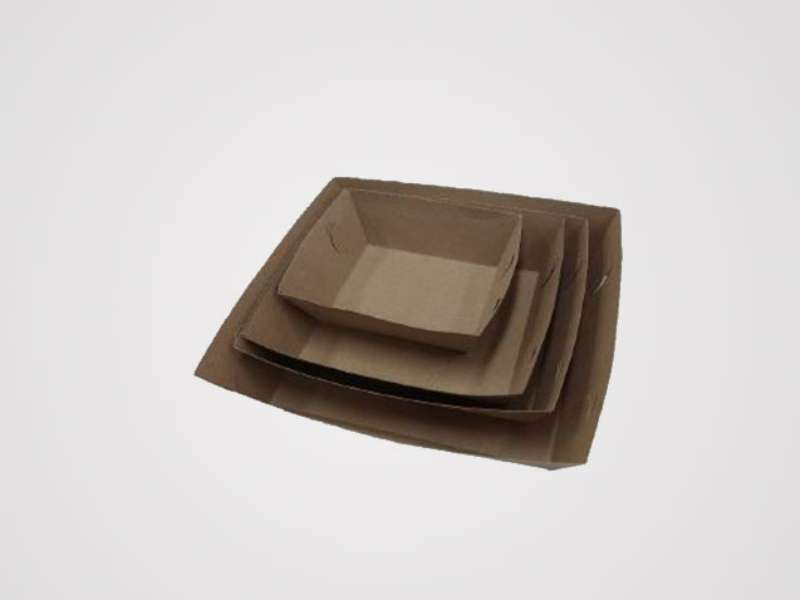 Bandeja food truck mediana